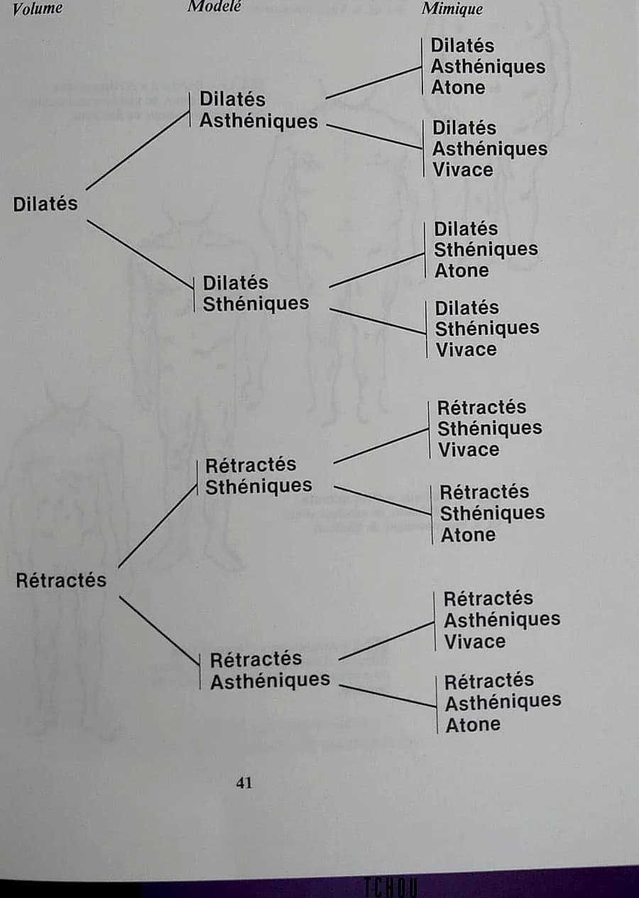 Tableau synoptique — Volume / Modelé / Mimique