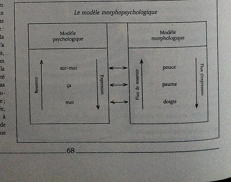 Le modèle morphopsychologique